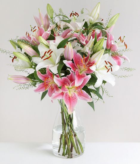 Mixed Oriental Lilies