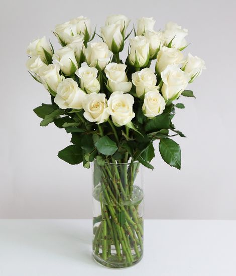 24 Fairtrade White Roses