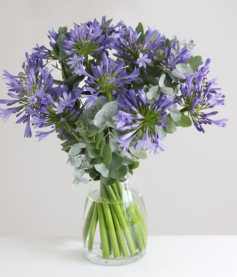 Large Organic Agapanthus Bouquet