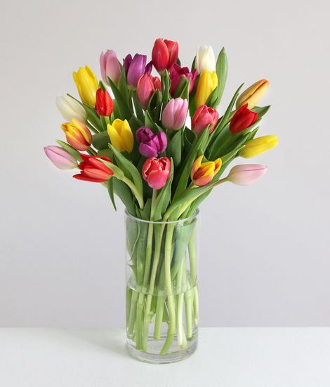 Valentine's Mixed Tulips