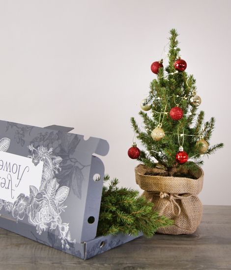 Letterbox Christmas Tree