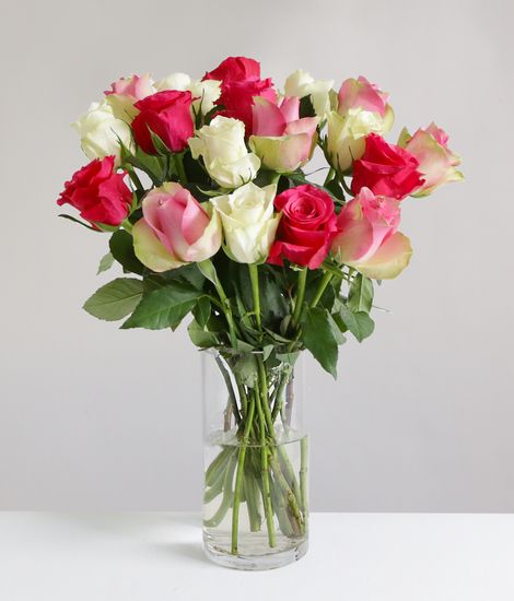 18 Mixed Roses