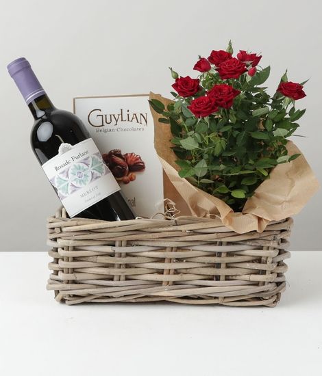 Red Wine and Rose Plant Hamper