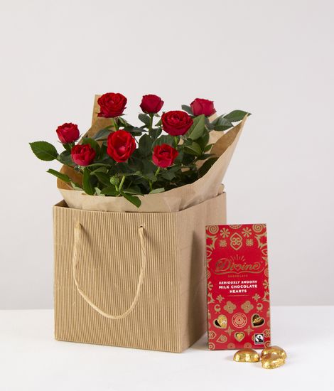 Romantic Rose Plant Gift Set