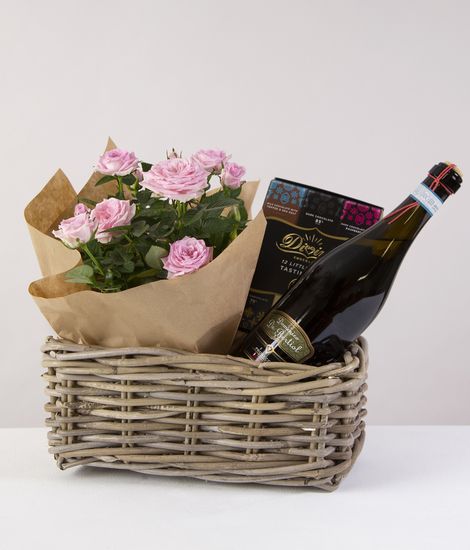 Prosecco and Rose Plant Hamper