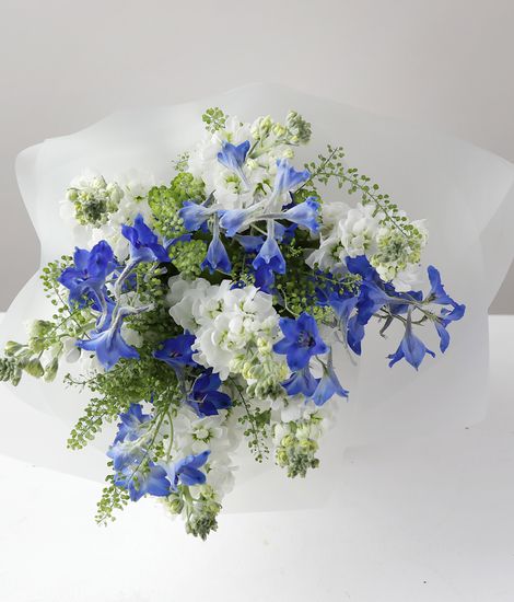 Delphinium and Stocks Jug