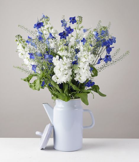 Delphinium and Stocks Jug