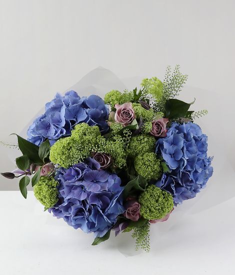 Blue Hydrangea