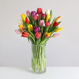 Valentine's Mixed Tulips