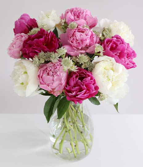 Mixed Peonies