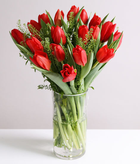 Valentine's Red Tulips