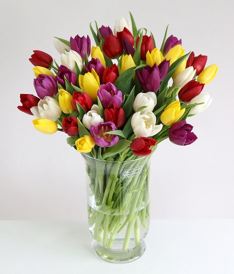 30 Mixed Tulips 