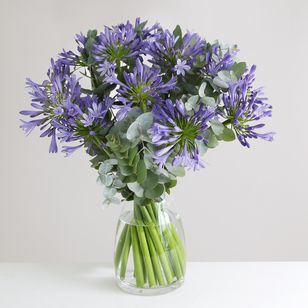 Large Organic Agapanthus Bouquet